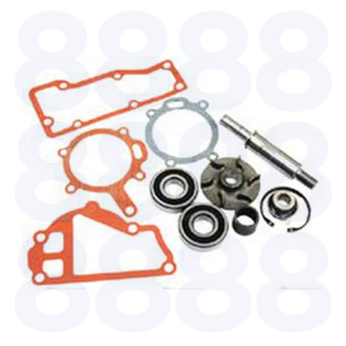 Massey Ferguson W/pump Repair Kit — Emmark EM1737