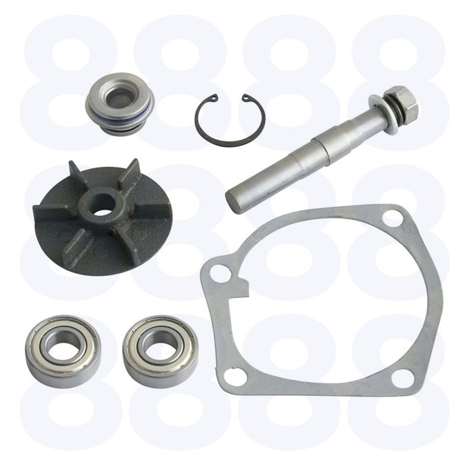 Massey Ferguson Water Pump Repair Kit — Emmark EM1738