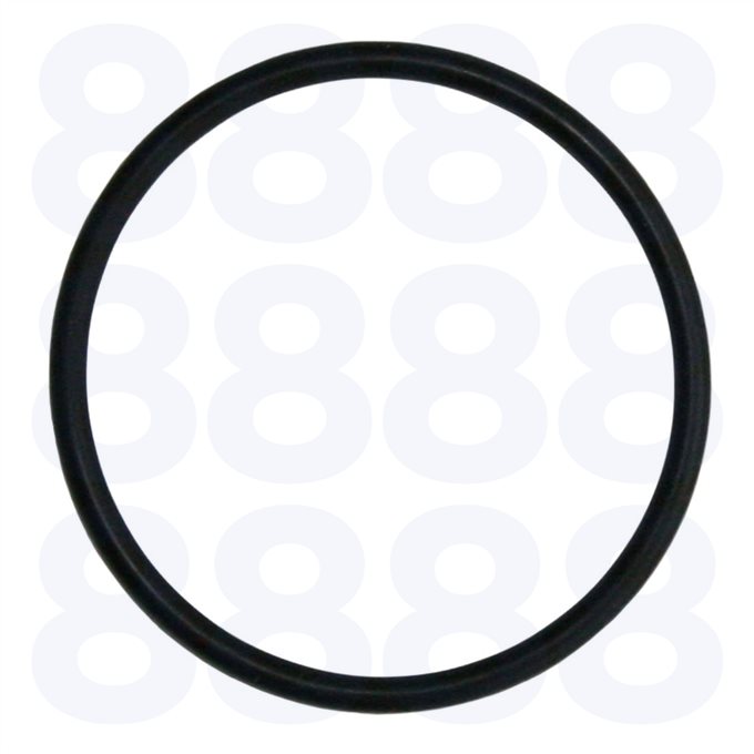 David Brown Thermostat O Ring — Emmark EM1784