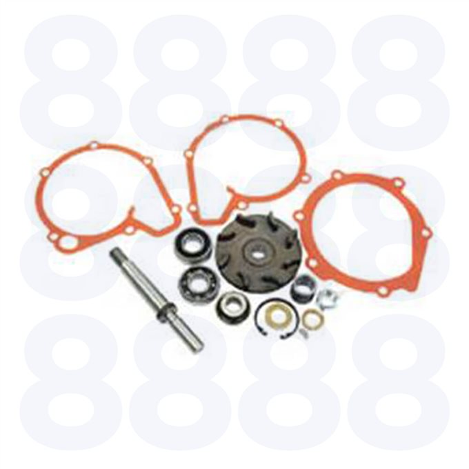 Massey Ferguson Water Pump Rep Kit — Emmark EM4414