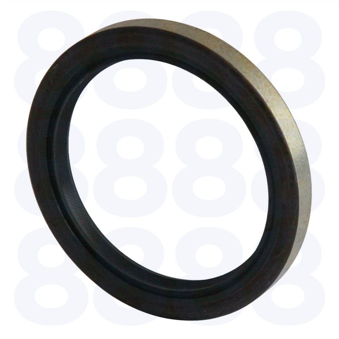 Fiat 8025-01 Rear Crank Seal — Emmark EM5560
