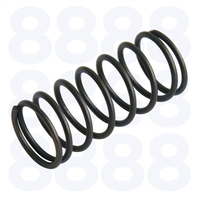 Massey Ferguson Valve Inner Spring — Emmark EM6010