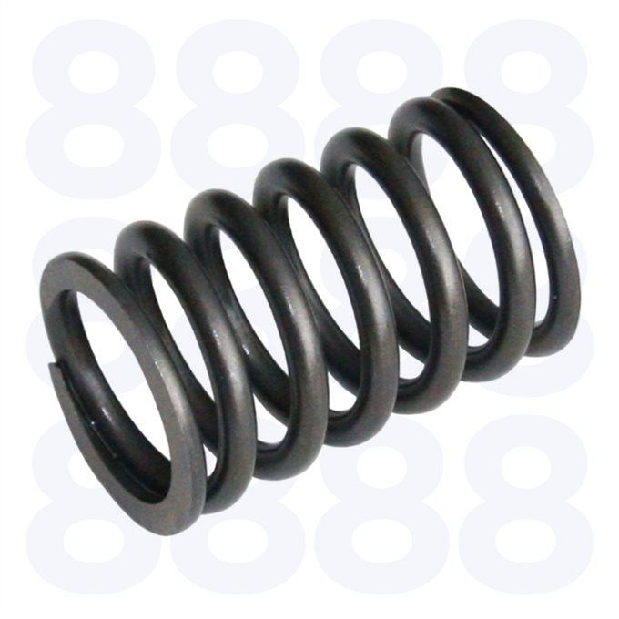 Ford BSD326 Valve Spring — Emmark EM928