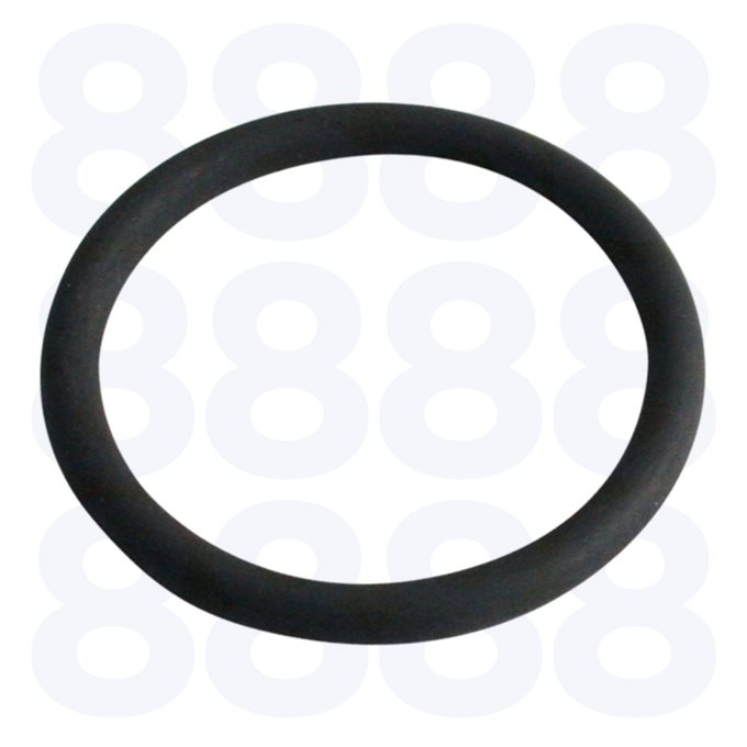 Leyland Injector Sleeve O Ring — Emmark EM9600